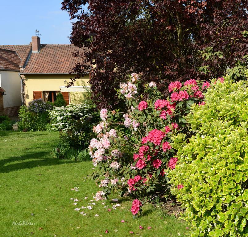 Gite Des Hortillonnages Camon  Kültér fotó