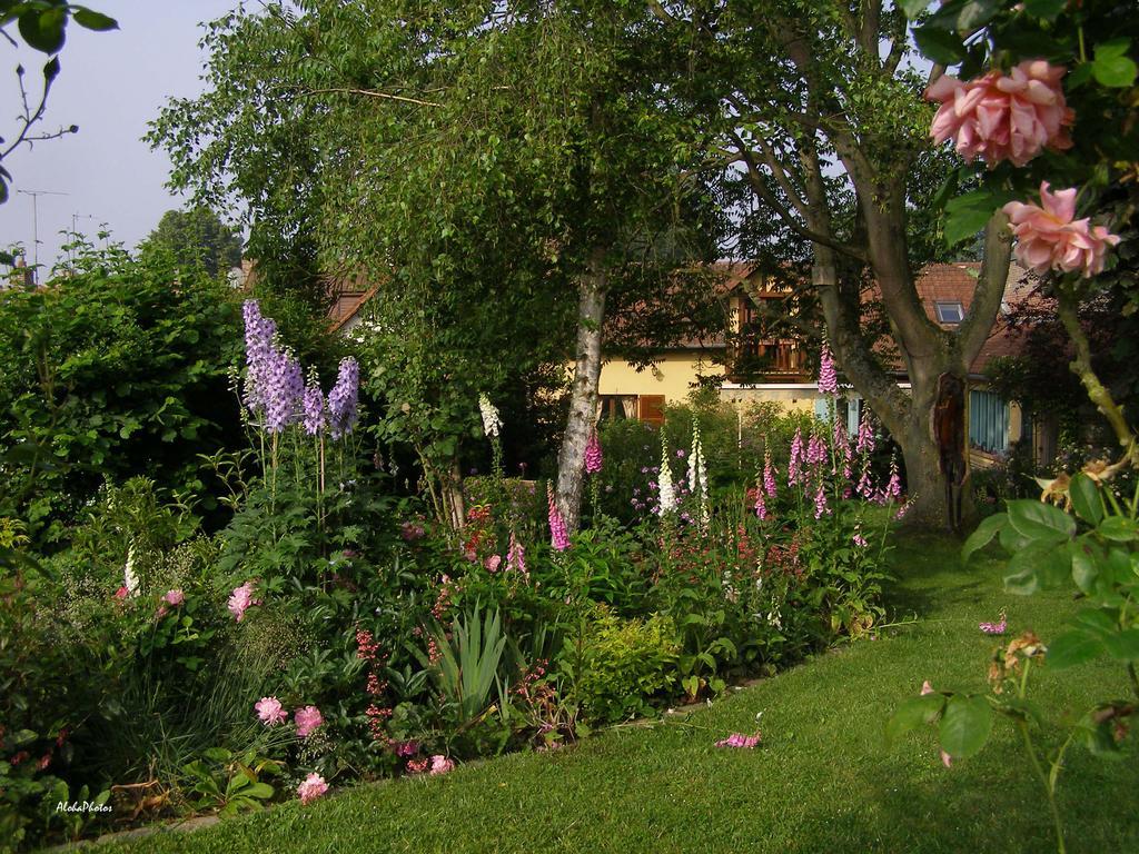 Gite Des Hortillonnages Camon  Kültér fotó