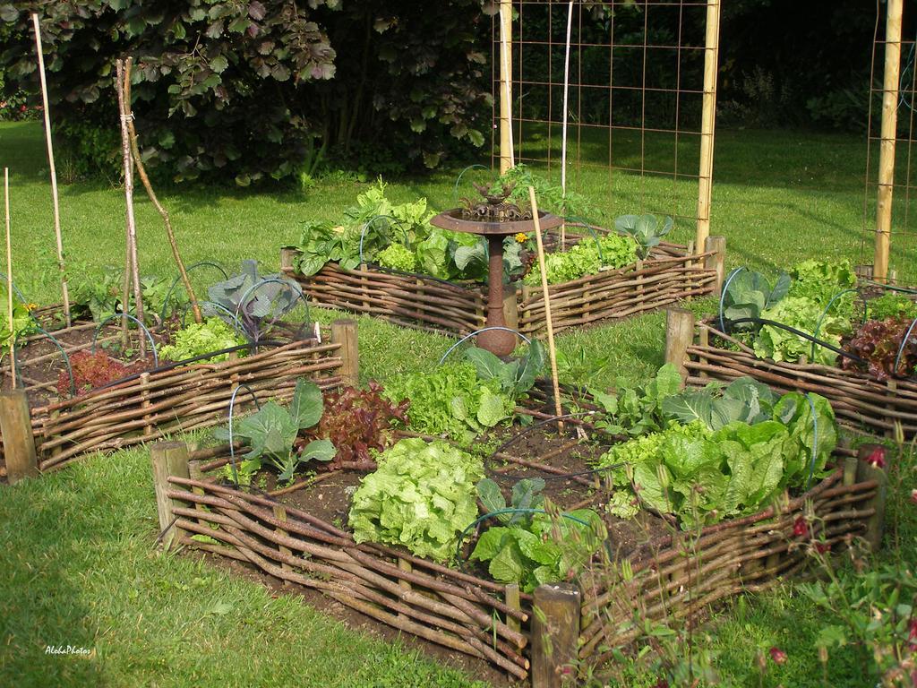 Gite Des Hortillonnages Camon  Kültér fotó
